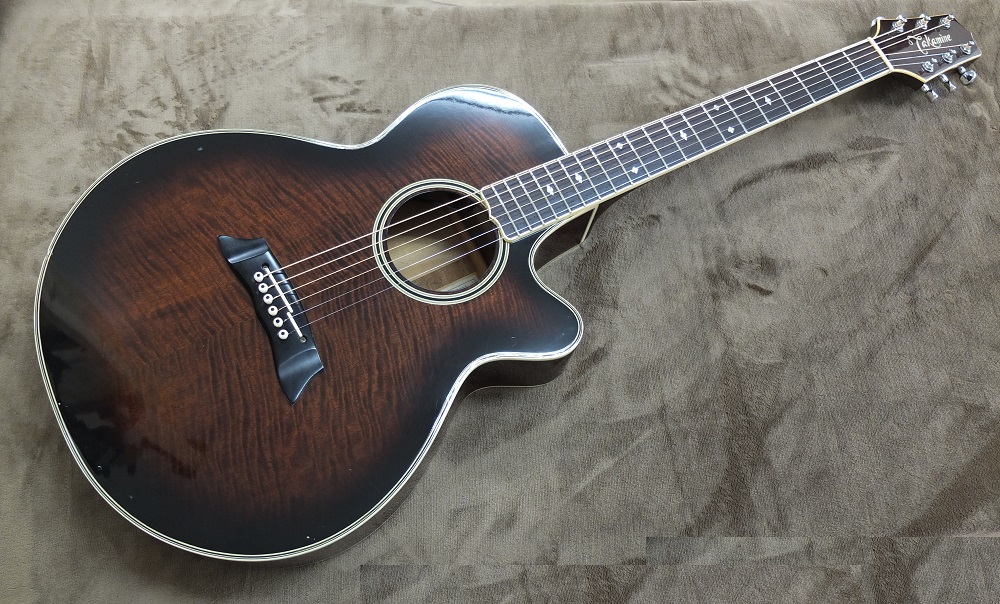 Takamine NPT-110 （Sold Out） | 千葉 船橋 ギター買取り 販売