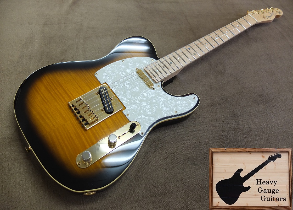 種類テレキャスタータイプFender Telecaster TLR Ritchie Kotzen